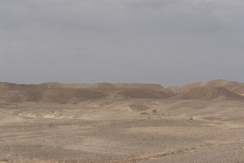 Negev desert 112 Sigitas Baltramaitis