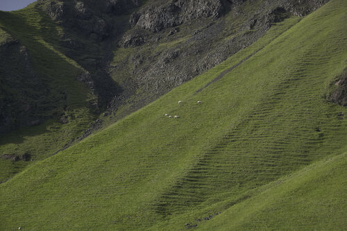 Iceland's landscape 0582 Sigitas Baltramaitis