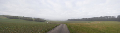 Fellerich 052 von Sigitas Baltramaitis, Fotografie kaufen auf Singulart