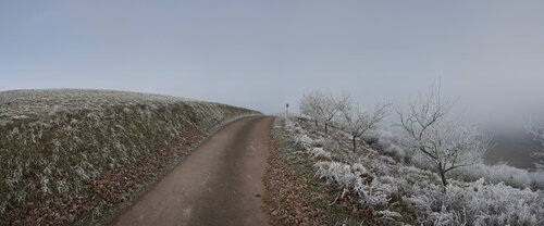 Fellerich 075 de Sigitas Baltramaitis, Fotografía a la venta en Singulart