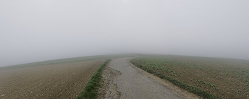 Fellerich 012 di Sigitas Baltramaitis, Fotografia in vendita su Singulart