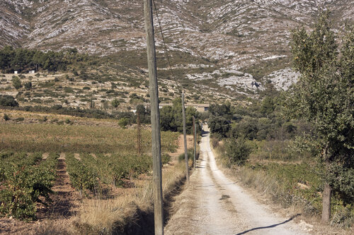 Country Road to Montagne Sainte-Victoire Sigitas Baltramaitis