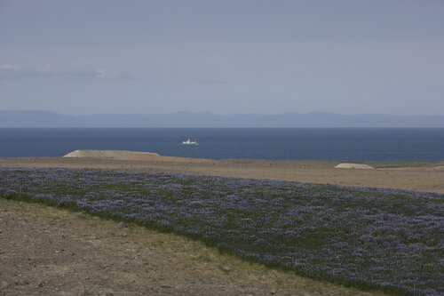 Iceland's landscape 01288 par Sigitas Baltramaitis, Photographie en vente sur Singulart