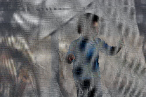 Behind the Curtain von Sigitas Baltramaitis, Fotografie kaufen auf Singulart