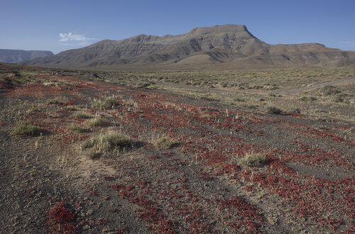 Crimson Traces of the Desert – Fuerteventura par Sigitas Baltramaitis, Photographie en vente sur Singulart