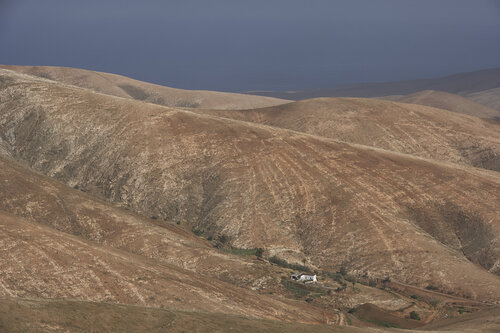 Solitude Beneath the Ochre Hills – Fuerteventura di Sigitas Baltramaitis, Fotografia in vendita su Singulart