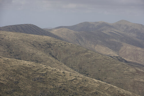 Rolling Hills – Fuerteventura von Sigitas Baltramaitis, Fotografie kaufen auf Singulart