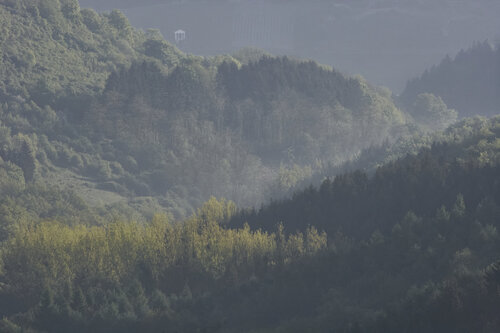 Veil of Dawn – Wasserliesch Hills par Sigitas Baltramaitis, Photographie en vente sur Singulart