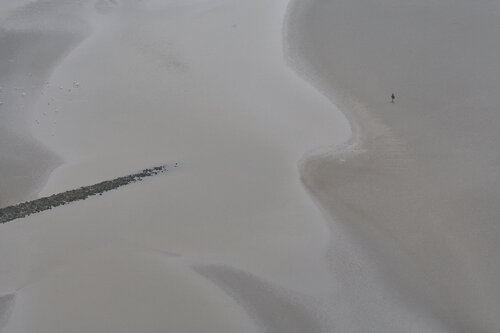 Solitude on the Tidal Flats of Mont Saint‑Michel par Sigitas Baltramaitis, Photographie en vente sur Singulart