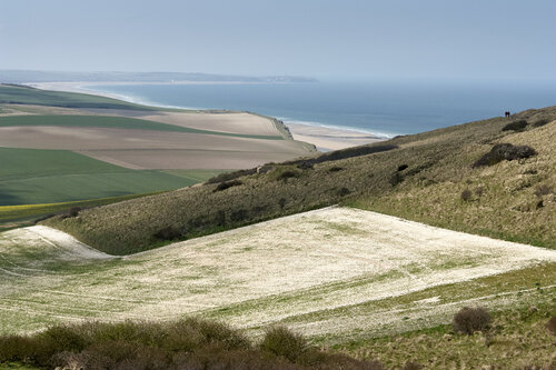 Coastal Patchwork Above the Sea de Sigitas Baltramaitis, Fotografía a la venta en Singulart