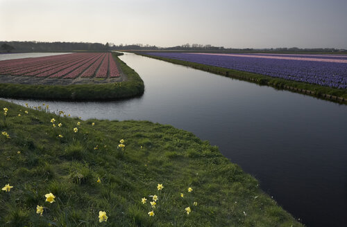 Colourful canal di Sigitas Baltramaitis, Fotografia in vendita su Singulart