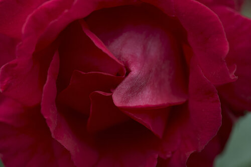 Velvet Silence Sigitas Baltramaitis