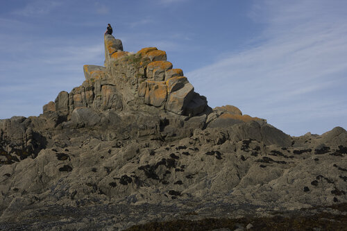 Sentinel Above the Tides par Sigitas Baltramaitis, Photographie en vente sur Singulart
