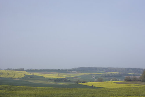 Fields of Fellerich van Sigitas Baltramaitis, Fotografie te koop op Singulart