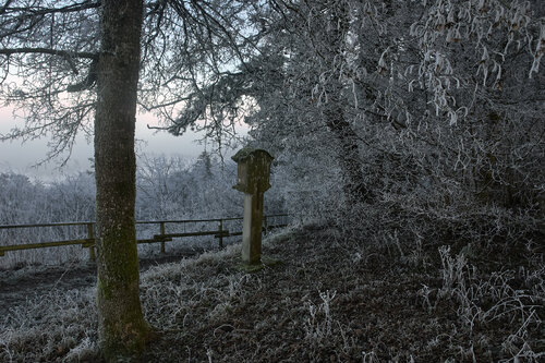 Frosted Silence, Wasserliesch di Sigitas Baltramaitis, Fotografia in vendita su Singulart
