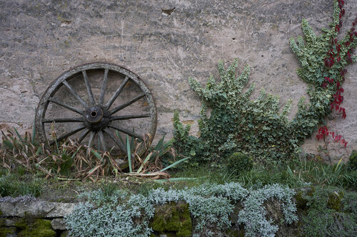 Wheel of Time by Sigitas Baltramaitis, Photography for Sale on Singulart