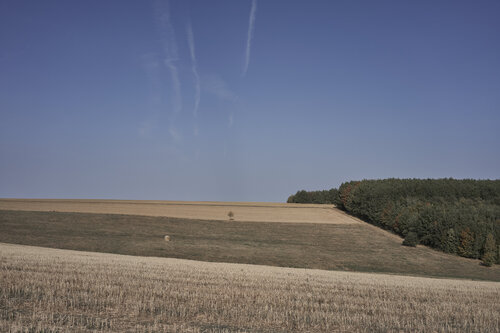 Silent Horizon, Fellerich de Sigitas Baltramaitis, Fotografía a la venta en Singulart