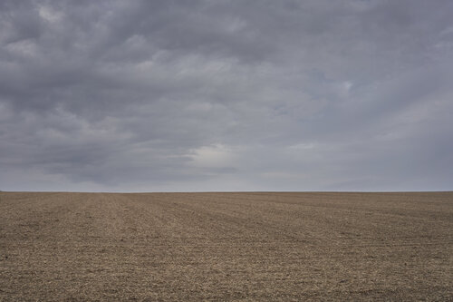 Open Horizon di Sigitas Baltramaitis, Fotografia in vendita su Singulart