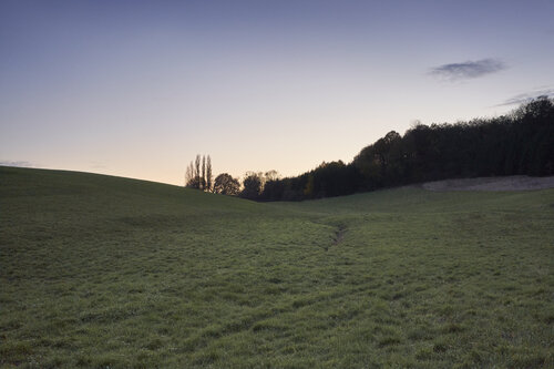 Dusk path de Sigitas Baltramaitis, Fotografía a la venta en Singulart