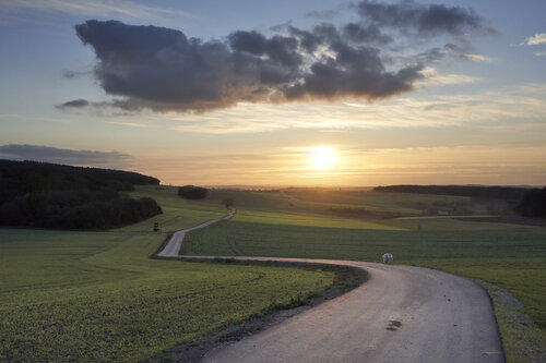 Evening Road, Fellerich de Sigitas Baltramaitis, Fotografía a la venta en Singulart