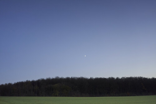 Crescent Over Fellerich von Sigitas Baltramaitis, Fotografie kaufen auf Singulart