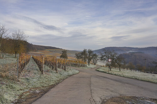 At the Crossroads, Fellerich von Sigitas Baltramaitis, Fotografie kaufen auf Singulart