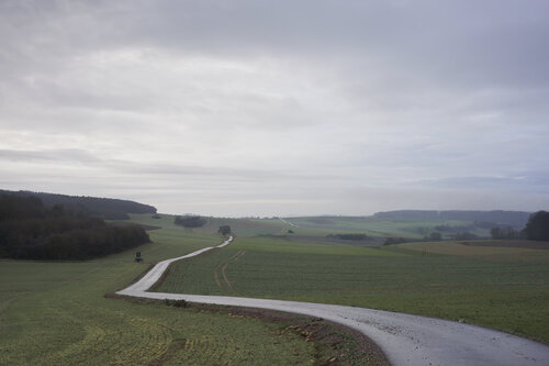 A Road Through Quiet Fields de Sigitas Baltramaitis, Fotografía a la venta en Singulart