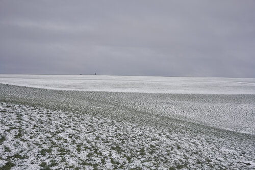 Winter Field, Fellerich von Sigitas Baltramaitis, Fotografie kaufen auf Singulart