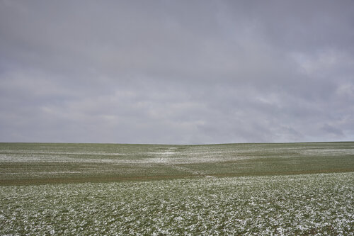 Quiet Passage of Light di Sigitas Baltramaitis, Fotografia in vendita su Singulart