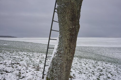 Between Weather and Time di Sigitas Baltramaitis, Fotografia in vendita su Singulart