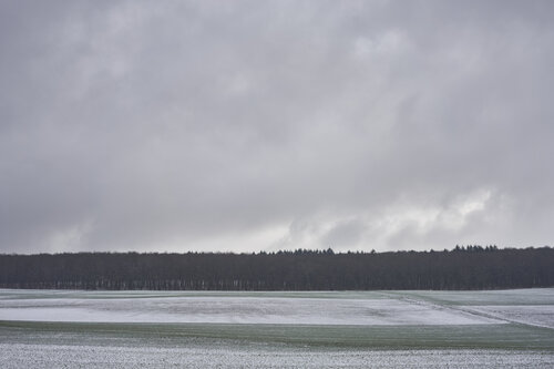 Quiet Field, Approaching Weather di Sigitas Baltramaitis, Fotografia in vendita su Singulart
