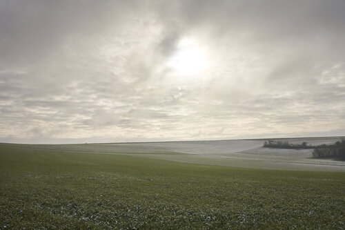 Winter Light, Fellerich di Sigitas Baltramaitis, Fotografia in vendita su Singulart
