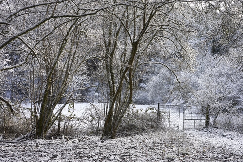 Hidden Gate, Fellerich par Sigitas Baltramaitis, Photographie en vente sur Singulart