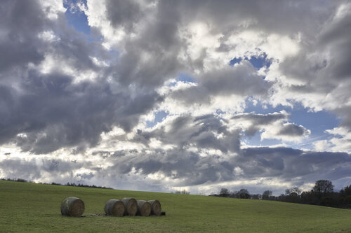 Passing Weather, Quiet Field di Sigitas Baltramaitis, Fotografia in vendita su Singulart