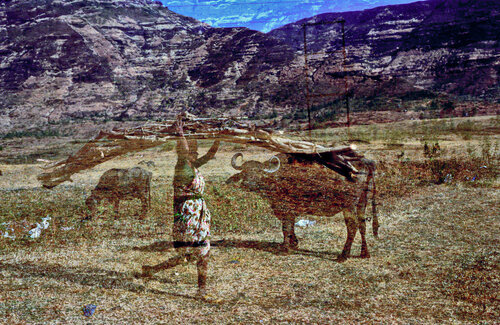 Colors of India 34 by Sigitas Baltramaitis, Photography for Sale on Singulart