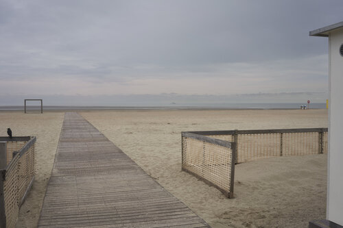 Path to the Horizon by Sigitas Baltramaitis, Photography for Sale on Singulart