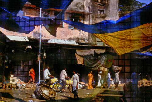 Colors of India 7 van Sigitas Baltramaitis, Fotografie te koop op Singulart