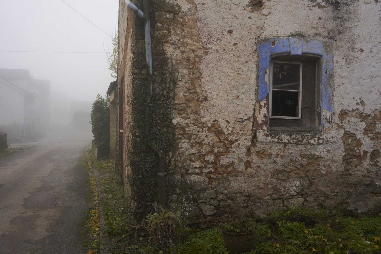 Mist_0341 Sigitas Baltramaitis