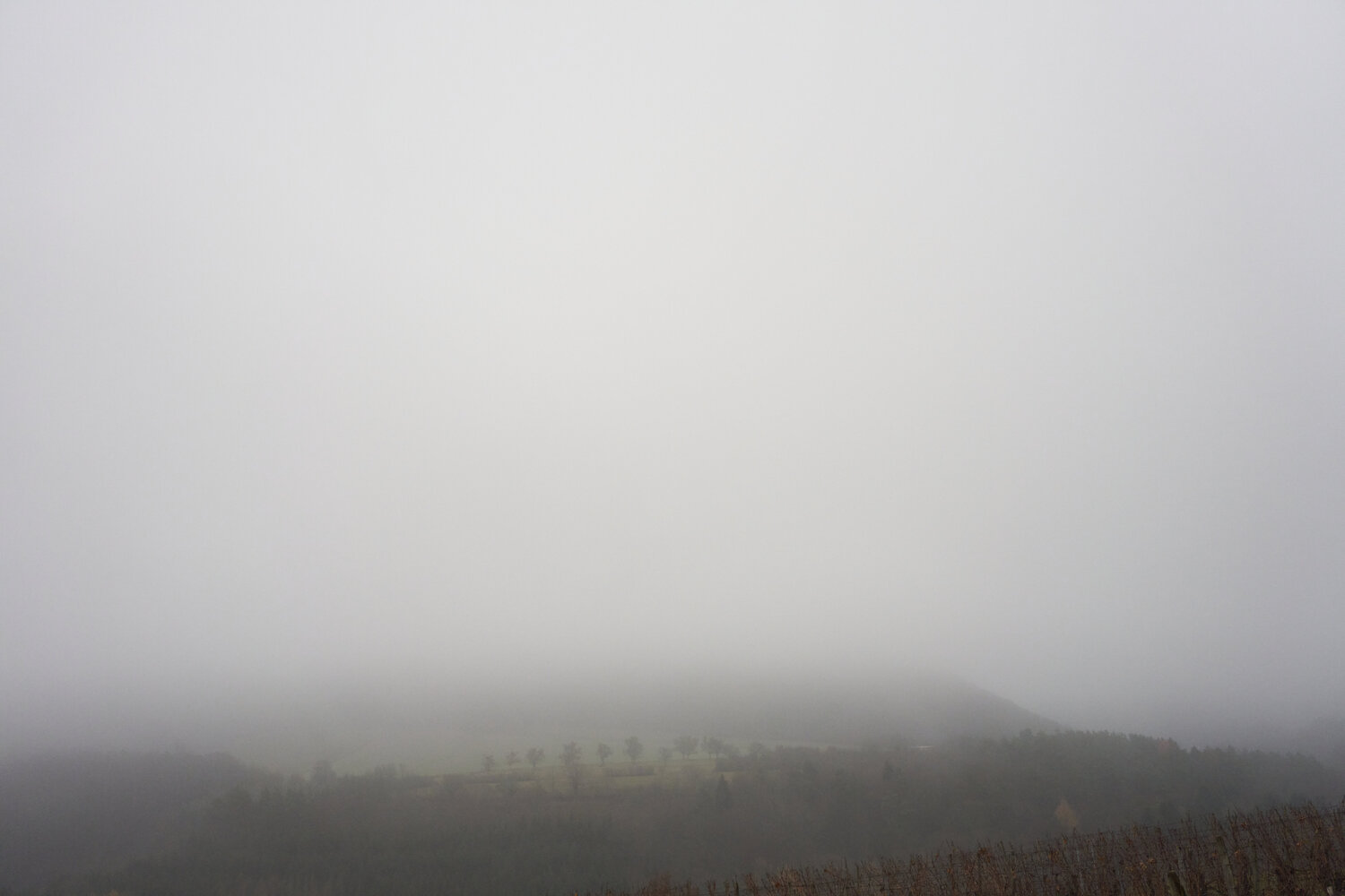 Mist_0464 Sigitas Baltramaitis