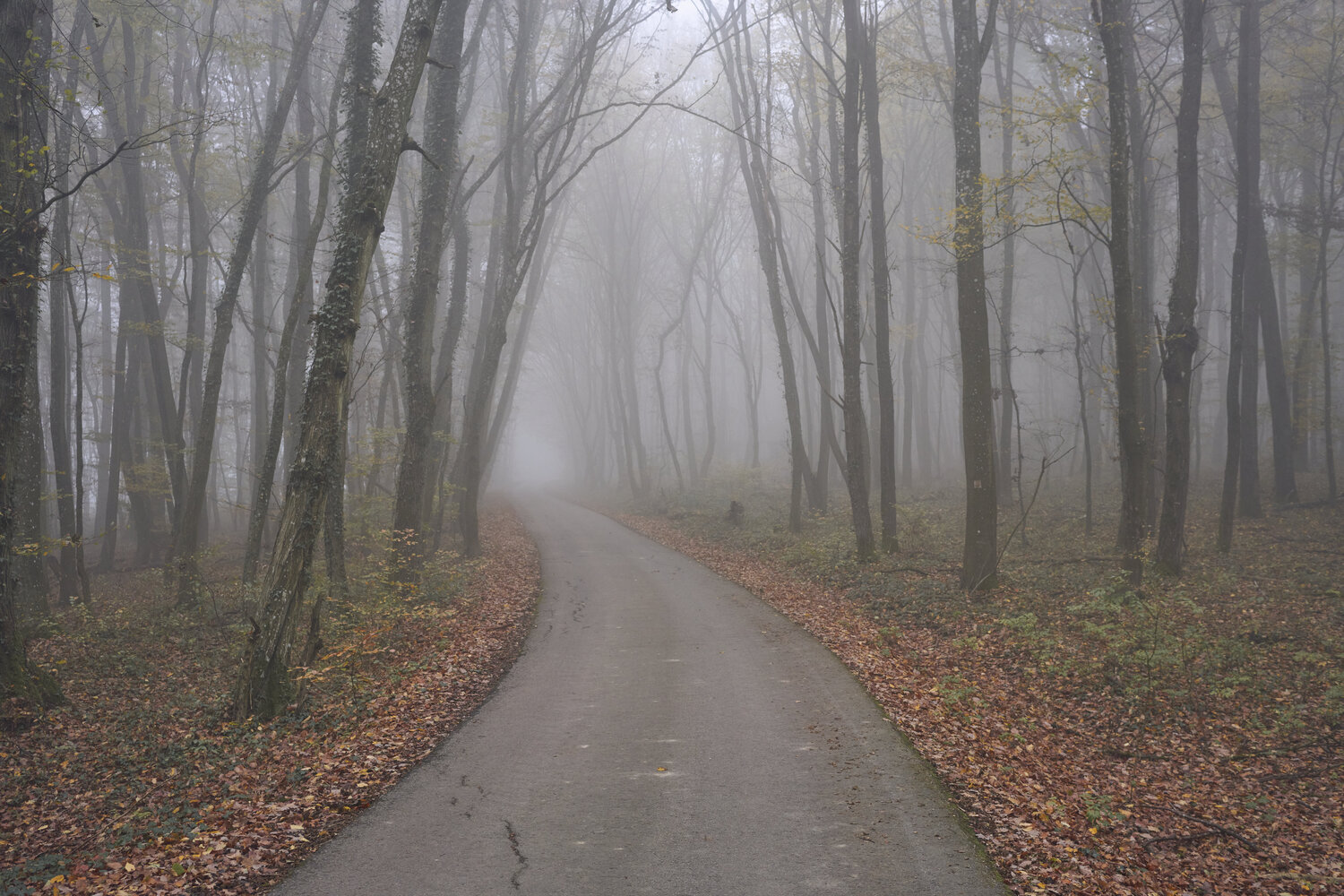 Mist_0558 Sigitas Baltramaitis