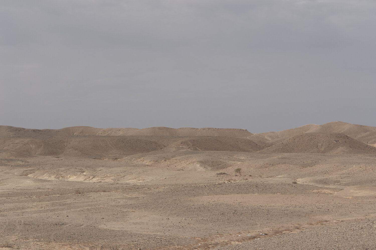 Negev desert 112 Sigitas Baltramaitis