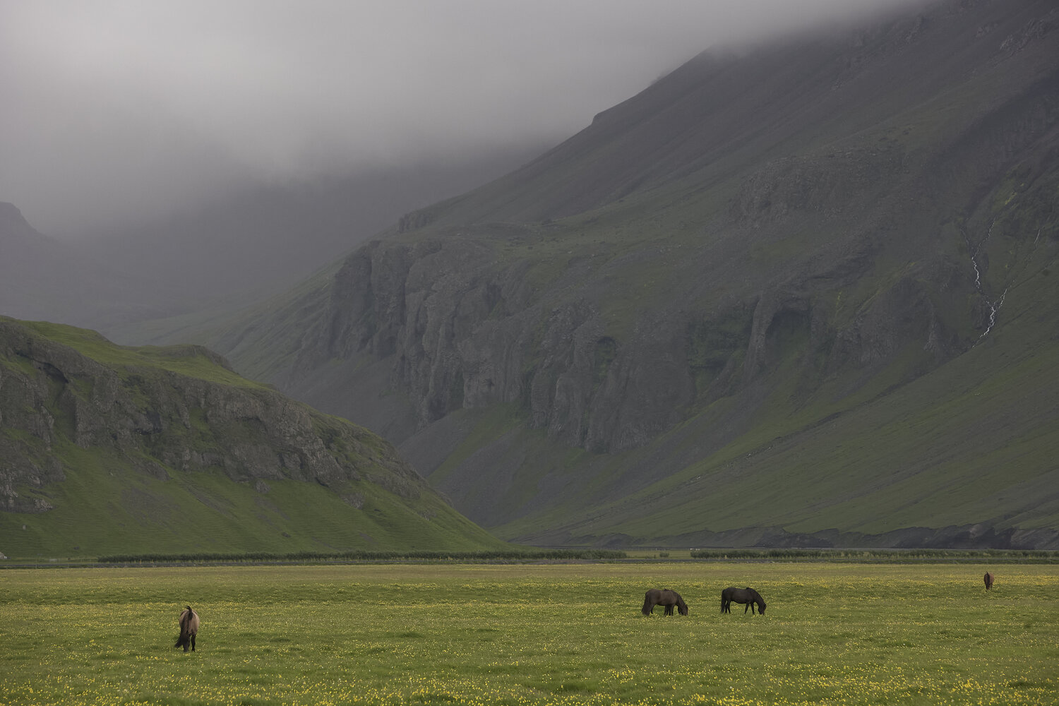 Iceland's landscape 0476 Sigitas Baltramaitis Fotografie zu verkaufen