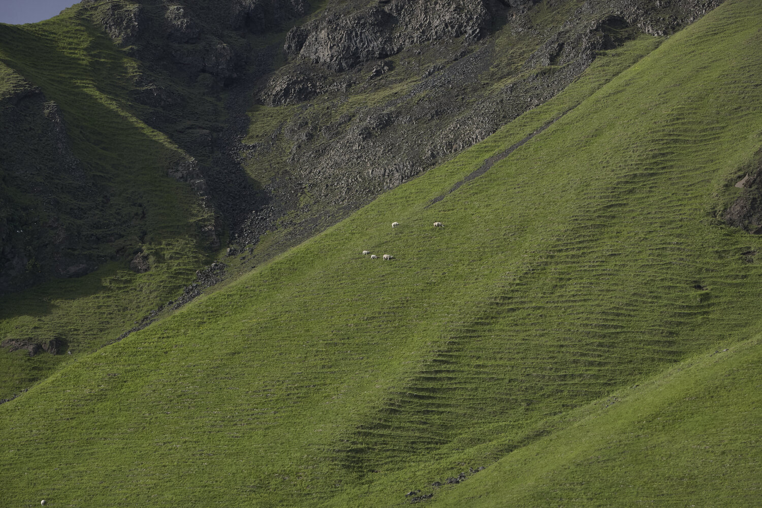 Iceland's landscape 0582 Sigitas Baltramaitis