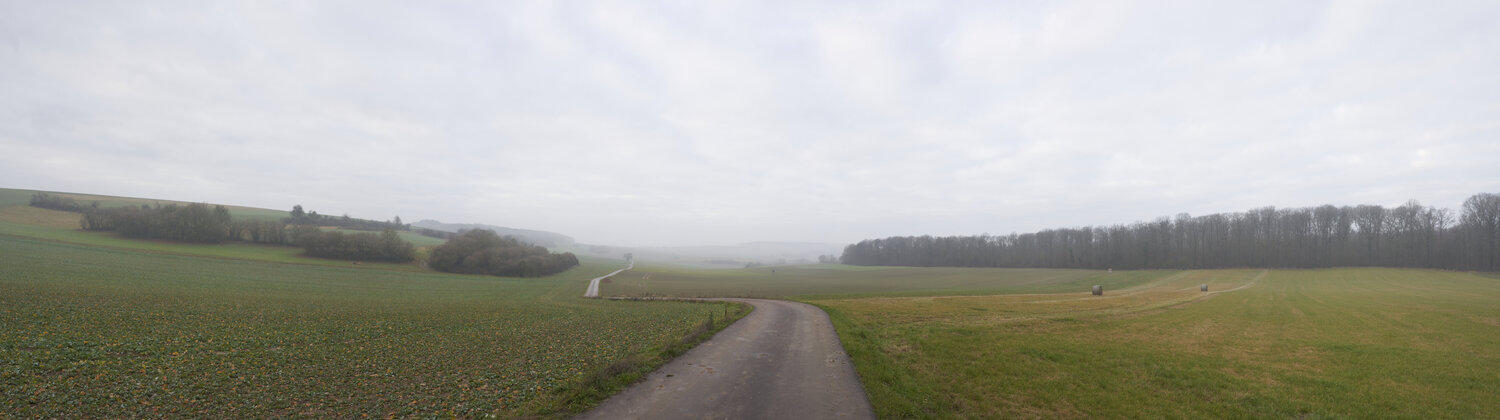 Fellerich 052 Sigitas Baltramaitis