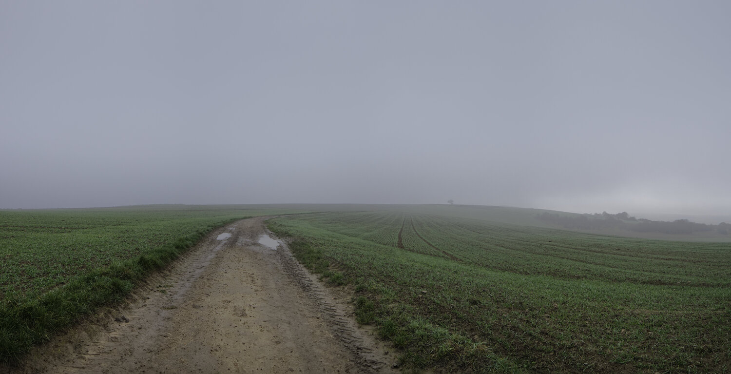 Fellerich 031 Sigitas Baltramaitis Fotografie zu verkaufen