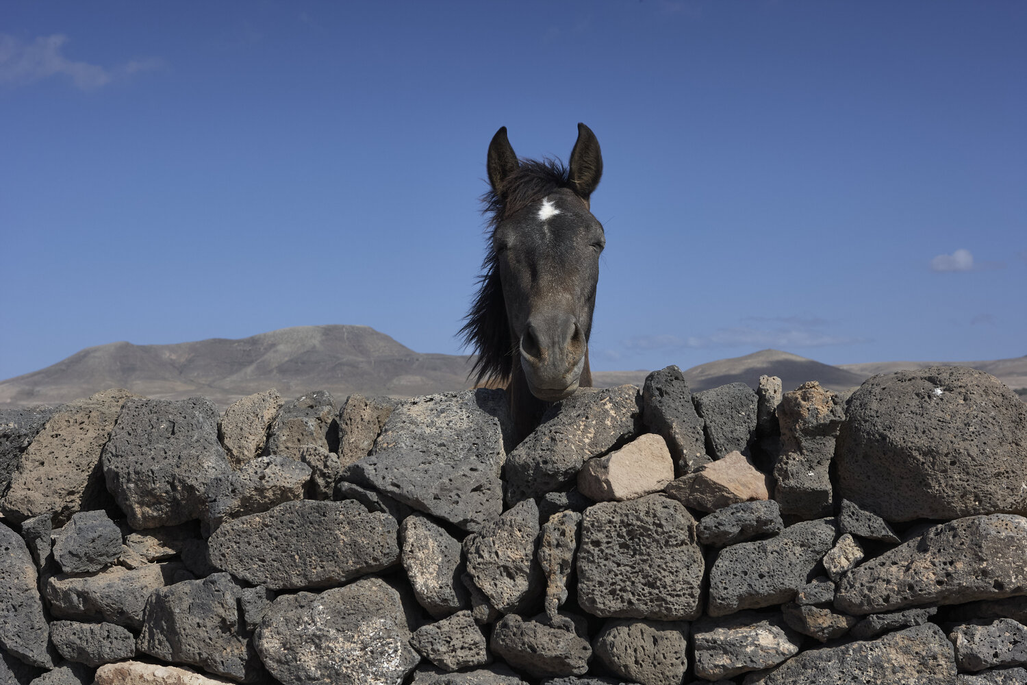 Curiosity in Volcanic Silence Sigitas Baltramaitis
