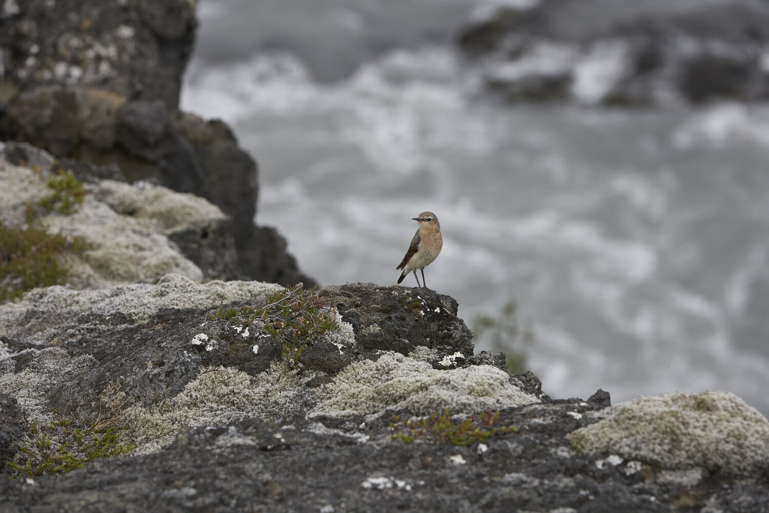 At the Edge Sigitas Baltramaitis