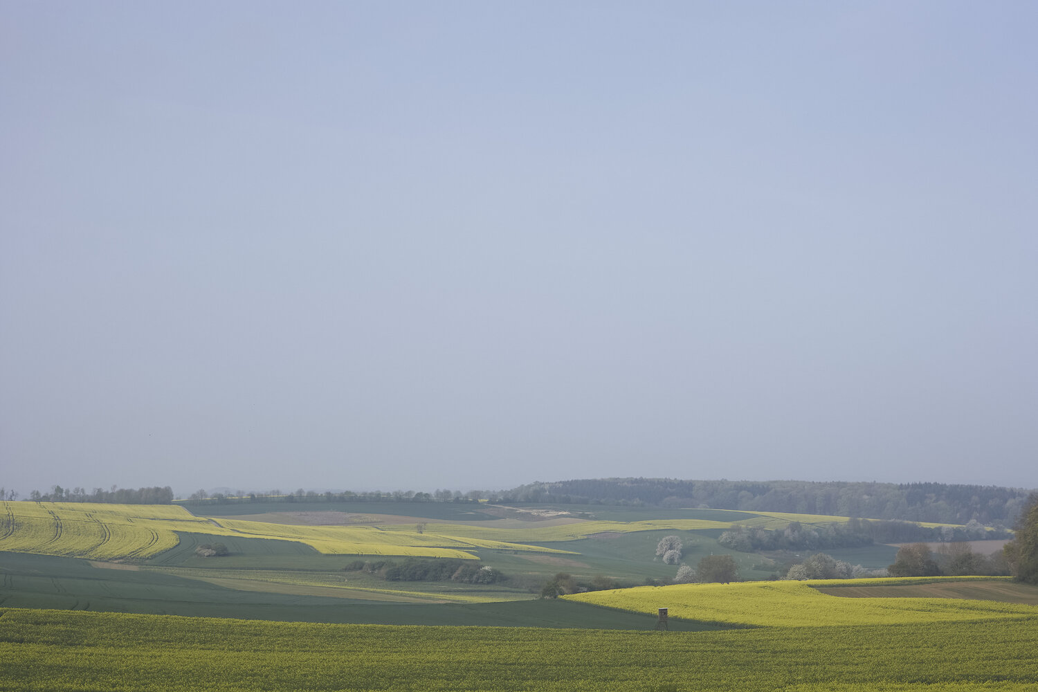 Fields of Fellerich Sigitas Baltramaitis Fotografie zu verkaufen
