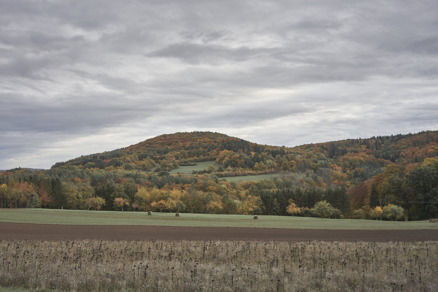 Autumn Fields Near Fellerich Sigitas Baltramaitis Fotografie zu verkaufen