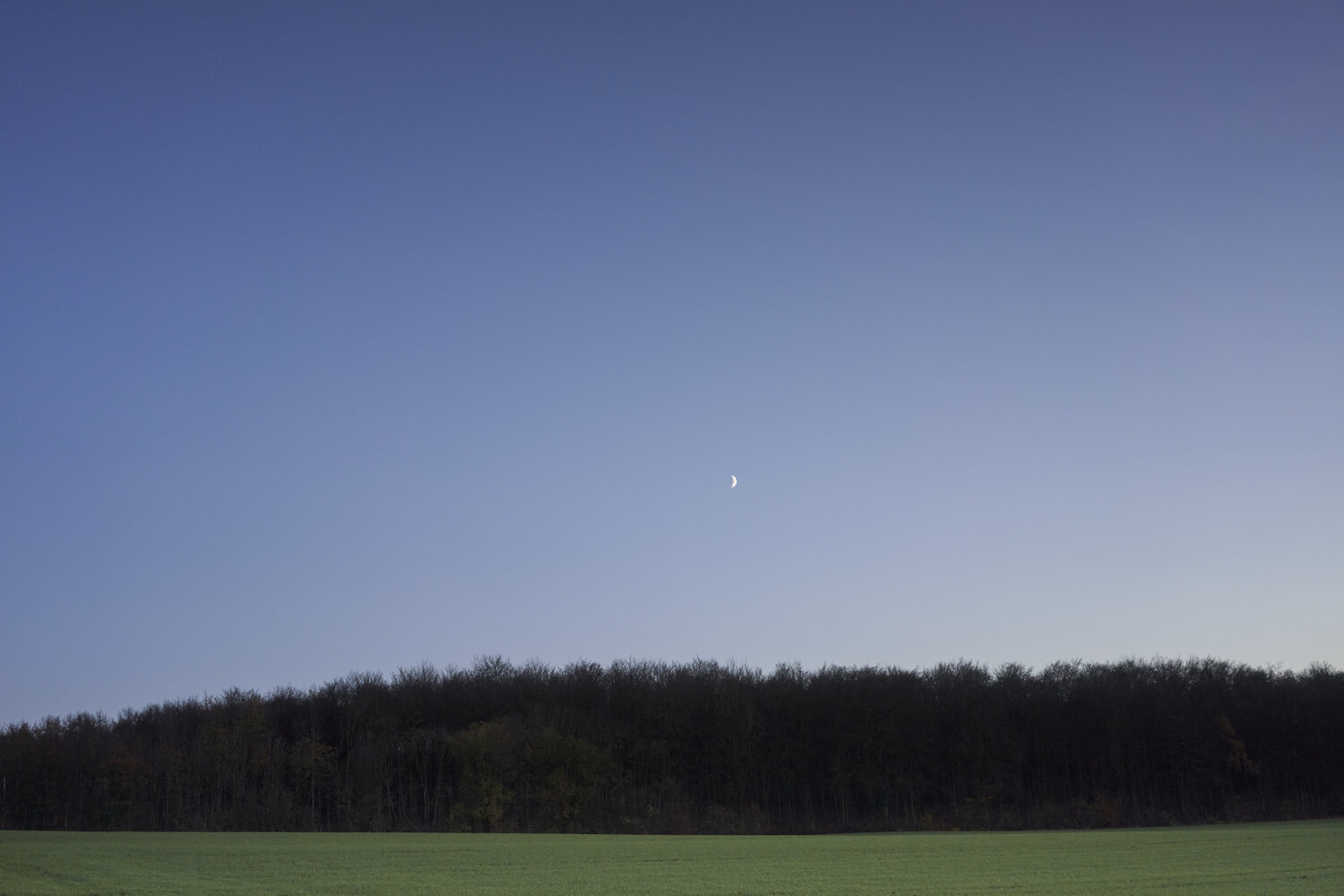 Crescent Over Fellerich Sigitas Baltramaitis Fotografie zu verkaufen